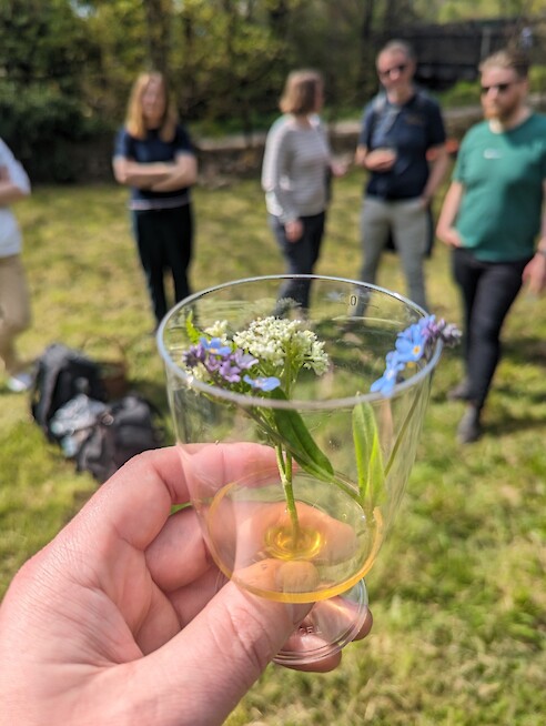 Whisky Festival
